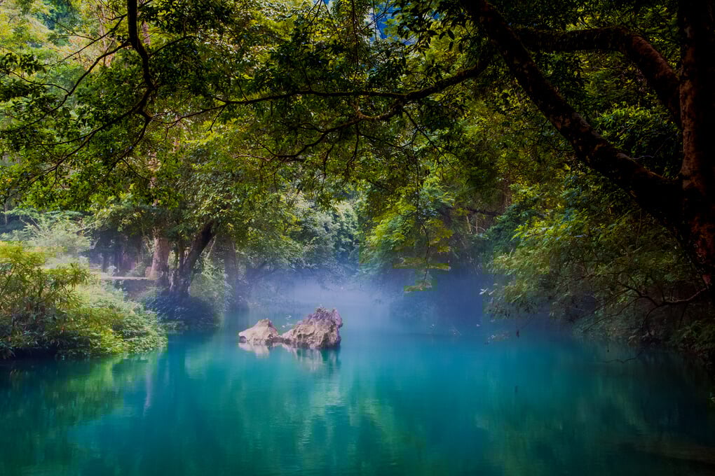 River in the Forest in Vietnam